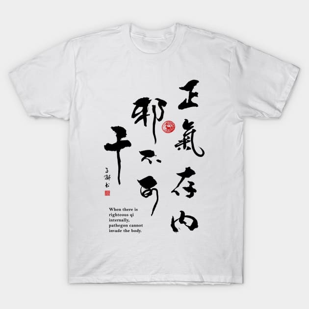 Righteous Qi Stops Pathogen T-Shirt by Huluhua